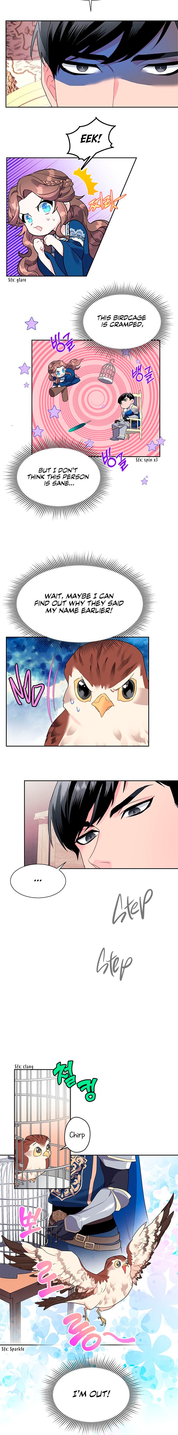 Cavier Falcon Princess chapter 8