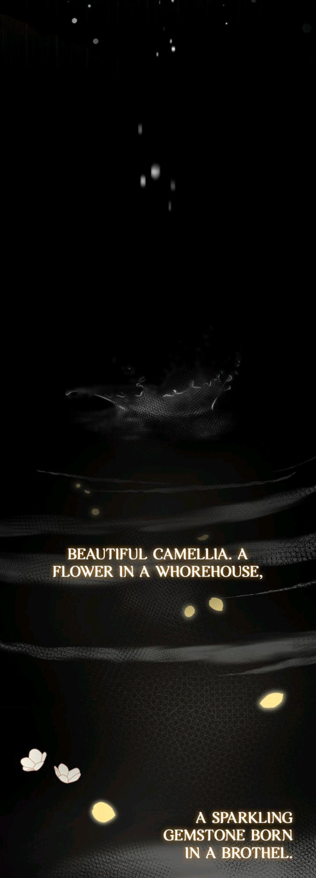 Finding Camellia chapter 0