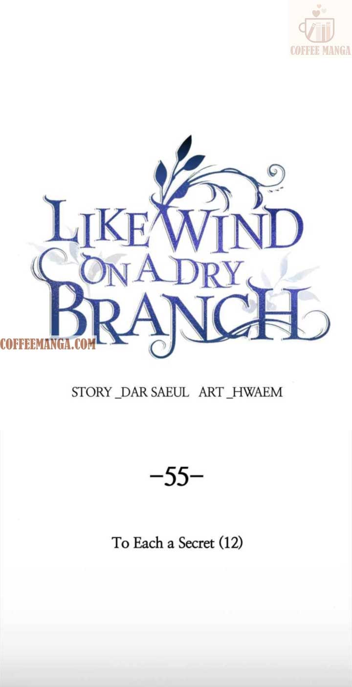 Like A Wind On A Dry Branch chapter 55