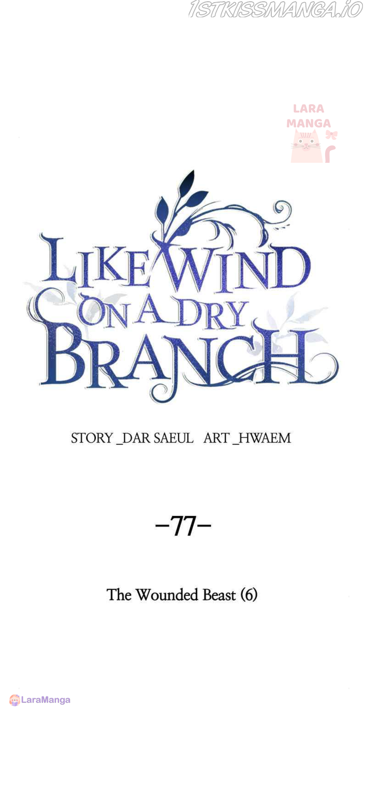 Like A Wind On A Dry Branch chapter 77
