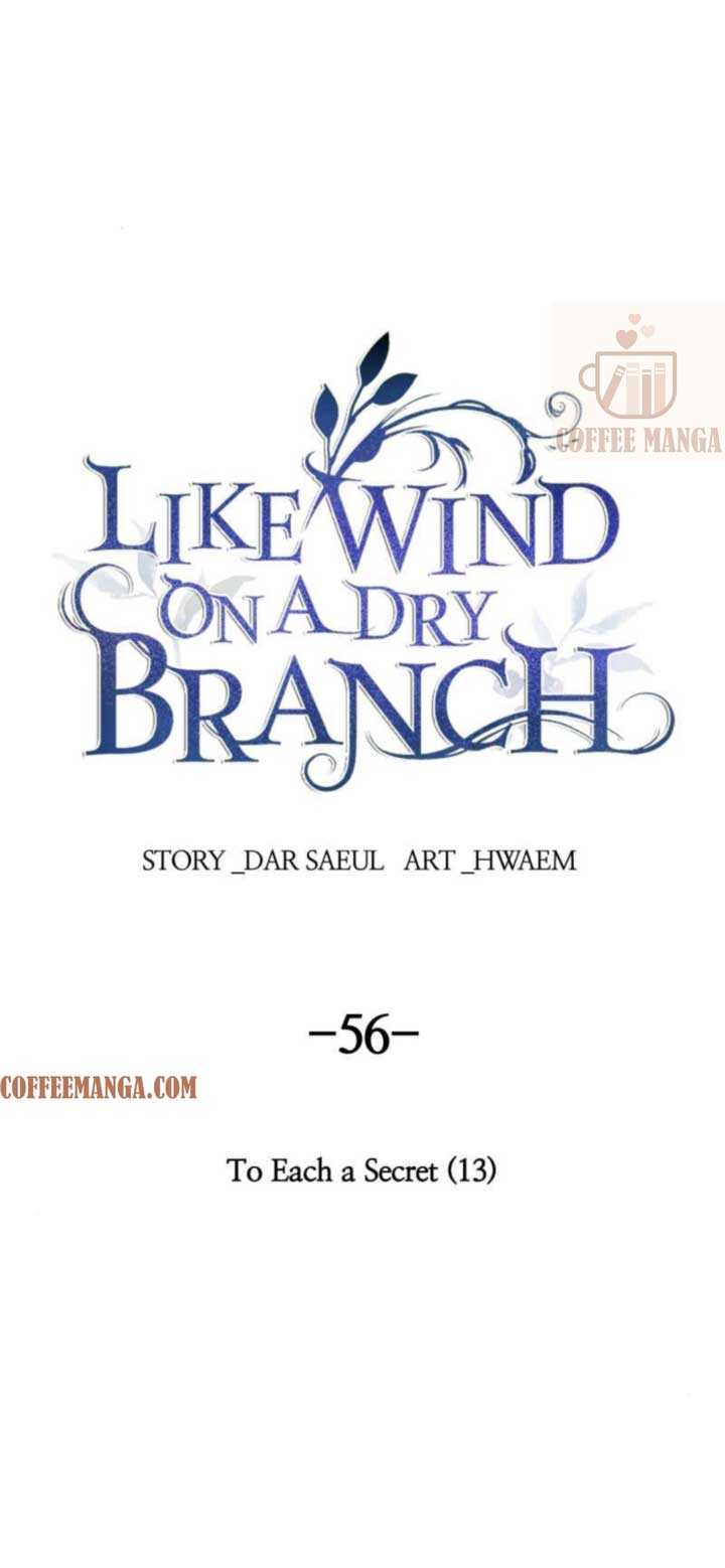 Like A Wind On A Dry Branch chapter 56