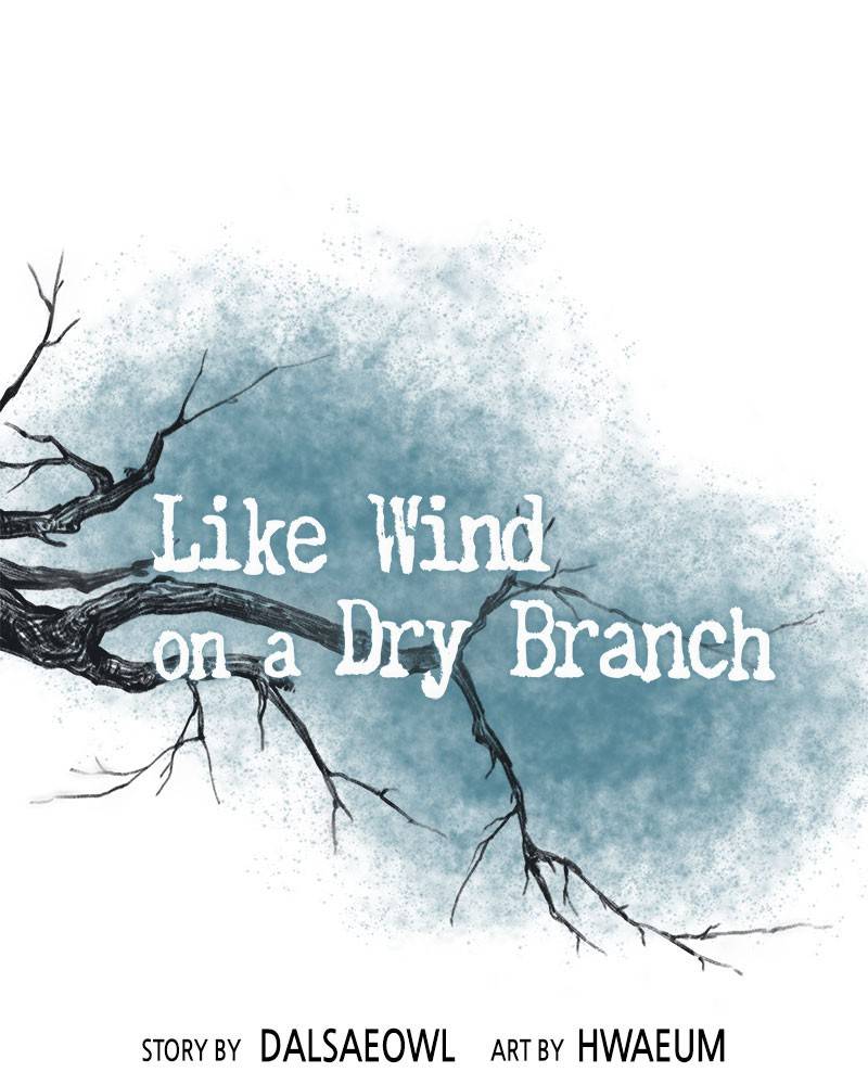 Like A Wind On A Dry Branch chapter 21