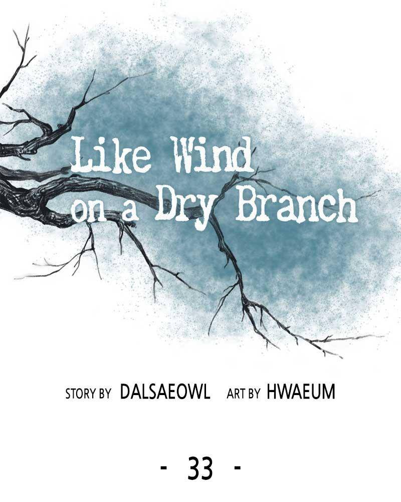Like A Wind On A Dry Branch chapter 33