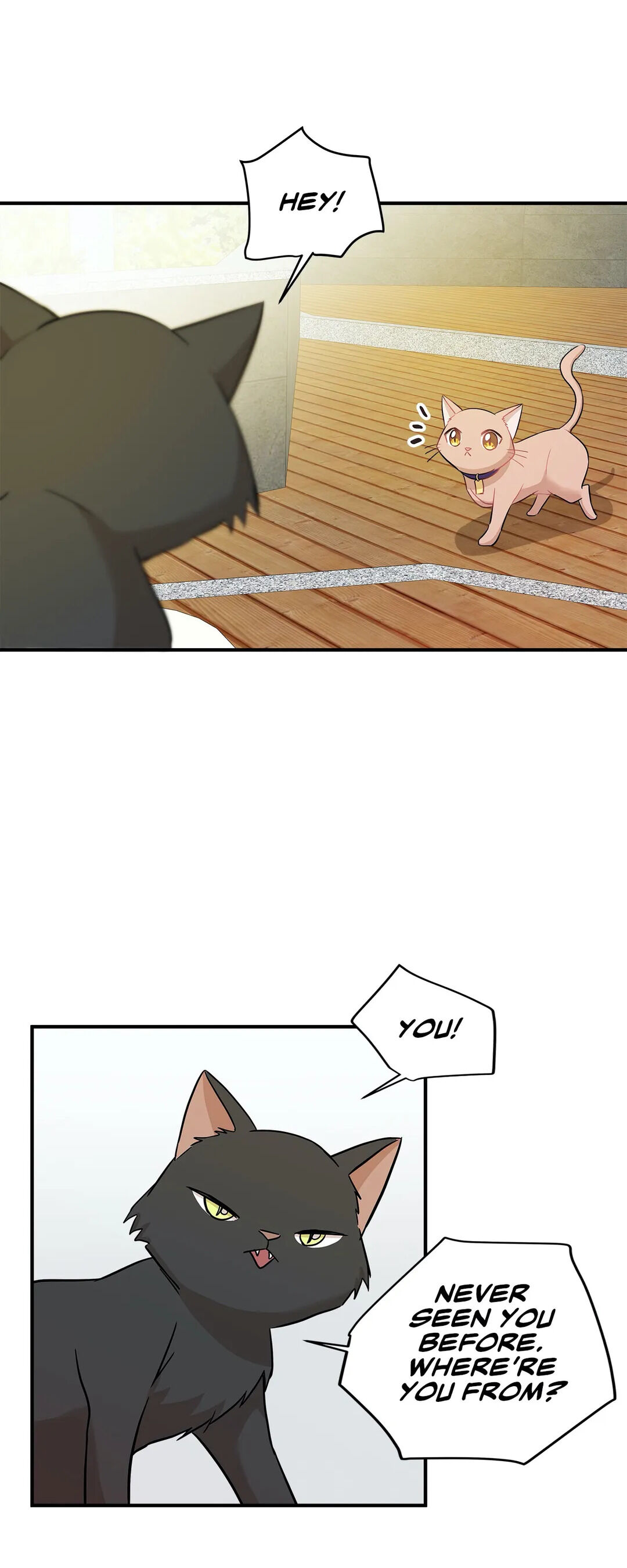 Just For A Meowment chapter 21