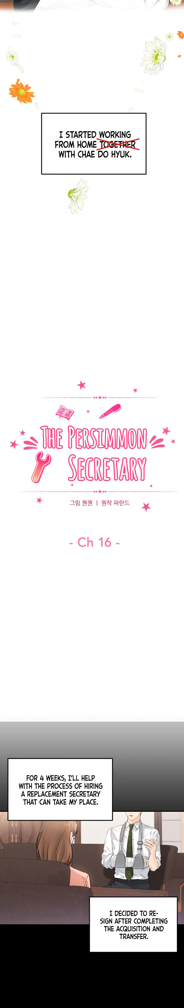 The Persimmon Secretary chapter 16