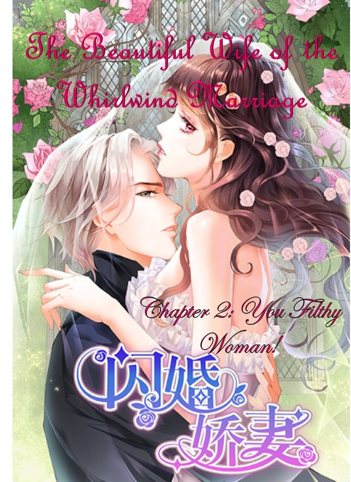 THE BEAUTIFUL WIFE OF THE WHIRLWIND MARRIAGE chapter 2